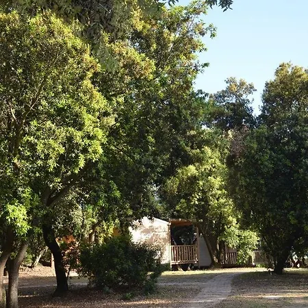 Parco Della Gallinara Πάρκο διακοπών Lido dei Pini