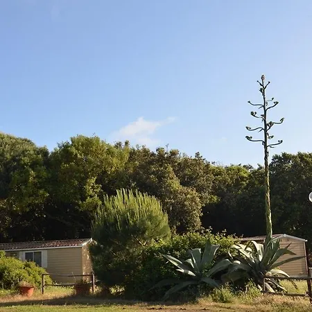 Parco Della Gallinara Lido dei Pini