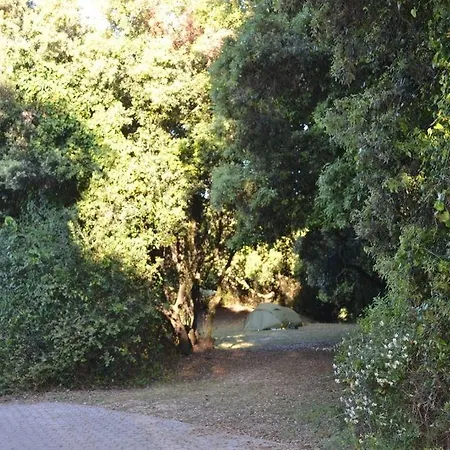 Parco Della Gallinara