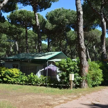 Parco Della Gallinara 4* Lido dei Pini
