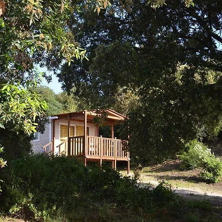 Parco Della Gallinara Lido dei Pini