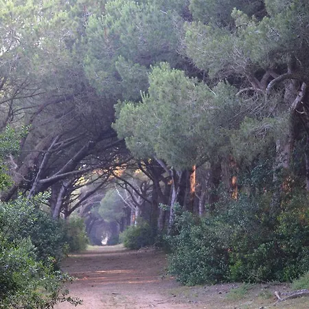 Πάρκο διακοπών Parco Della Gallinara 4*