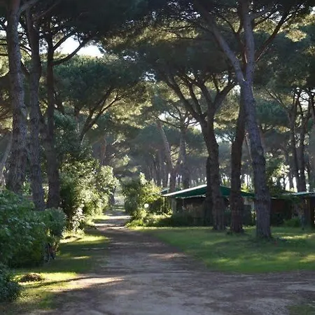 Parco Della Gallinara Πάρκο διακοπών Lido dei Pini
