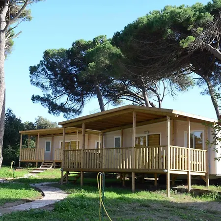 Πάρκο διακοπών Parco Della Gallinara Lido dei Pini