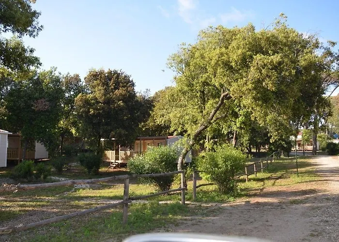 Parco Della Gallinara 4* Lido dei Pini