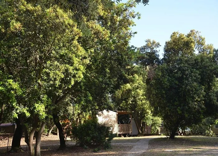 Parco Della Gallinara Tatil parkı Lido dei Pini