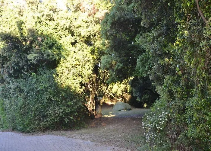 Parco Della Gallinara