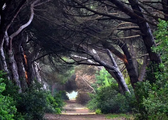Tatil parkı Parco Della Gallinara