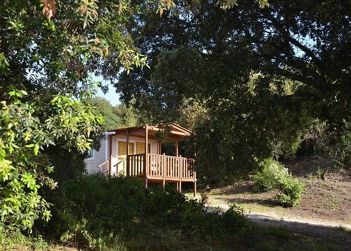 Parco Della Gallinara Lido dei Pini