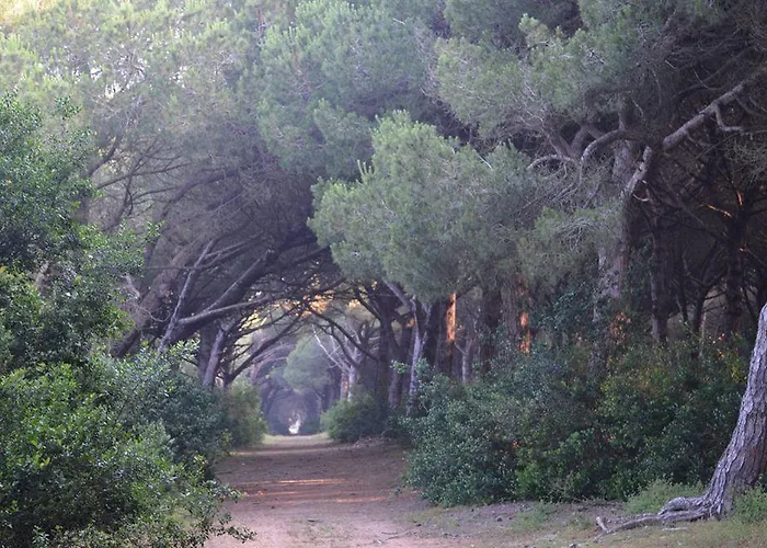 Tatil parkı Parco Della Gallinara 4*