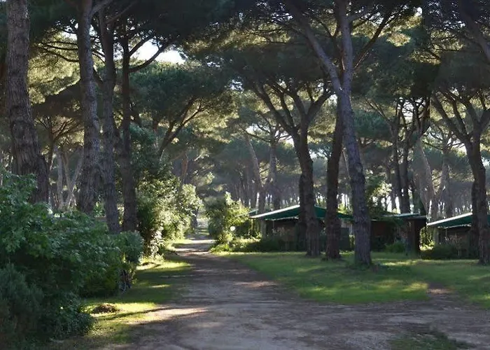 Parco Della Gallinara Tatil parkı Lido dei Pini