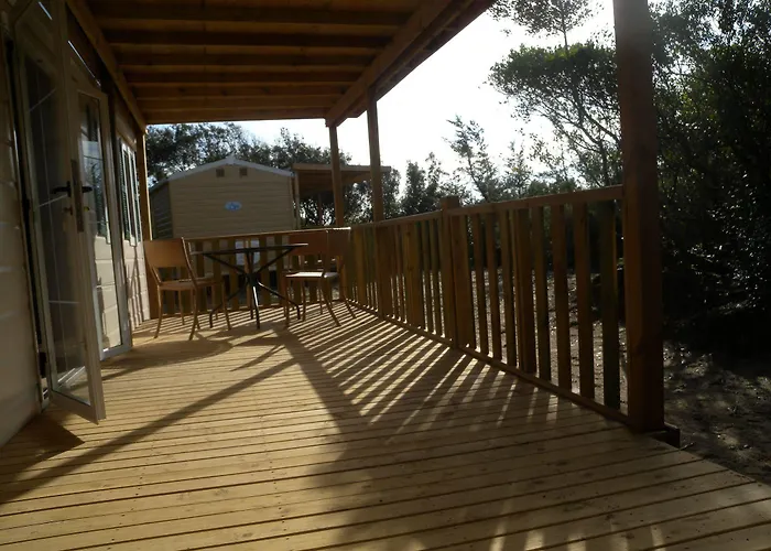 Parco Della Gallinara Lido dei Pini